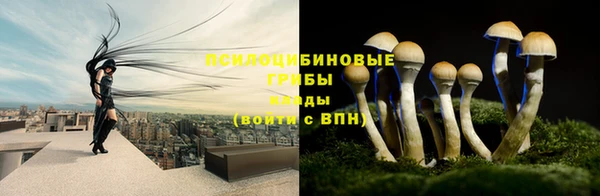 бутират Елизово