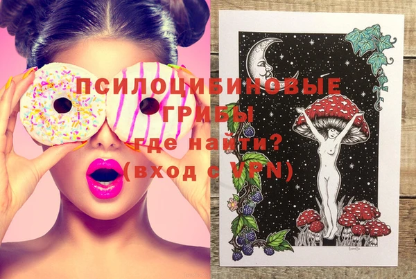 амф Елабуга