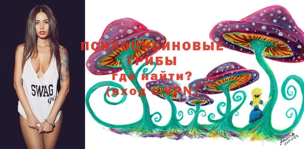 амф Елабуга