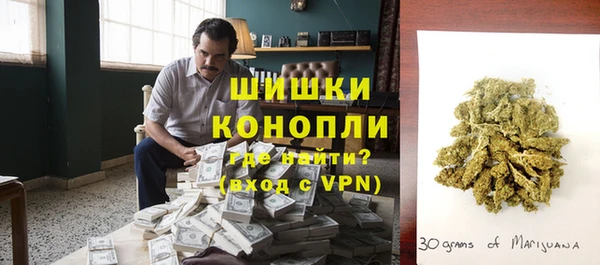 трава Гусев