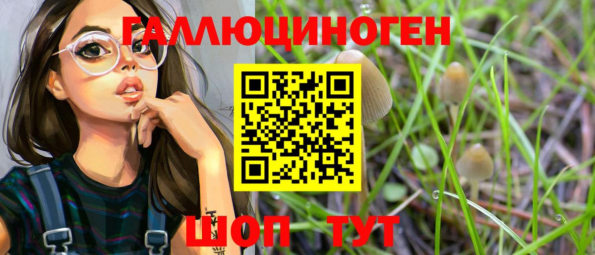 Псилоцибиновые грибы GOLDEN TEACHER Кирово-Чепецк