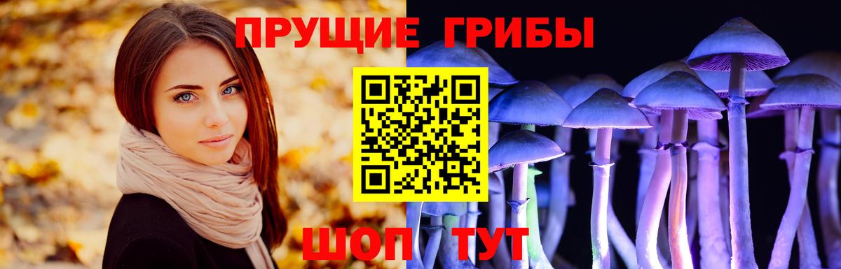сколько стоит  Галлюциногенные грибы Magic Shrooms  Галлюциногенные грибы мицелий  Вход с VPN  Кирово-Чепецк 